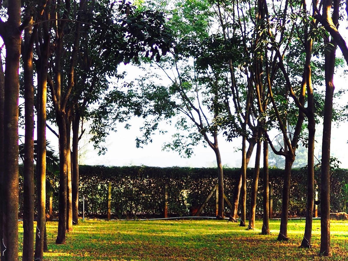 Singha Rubber Tree Hotel Sai Yok Buitenkant foto