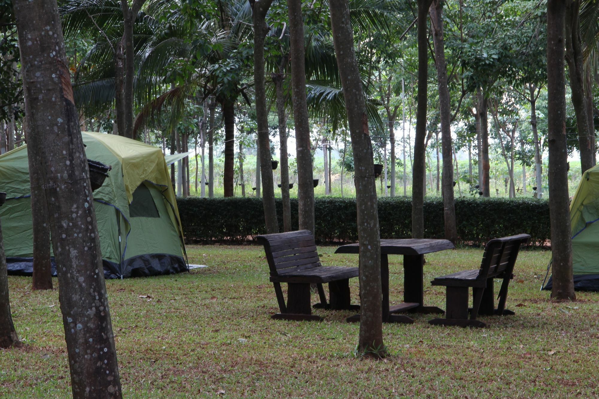 Singha Rubber Tree Hotel Sai Yok Buitenkant foto