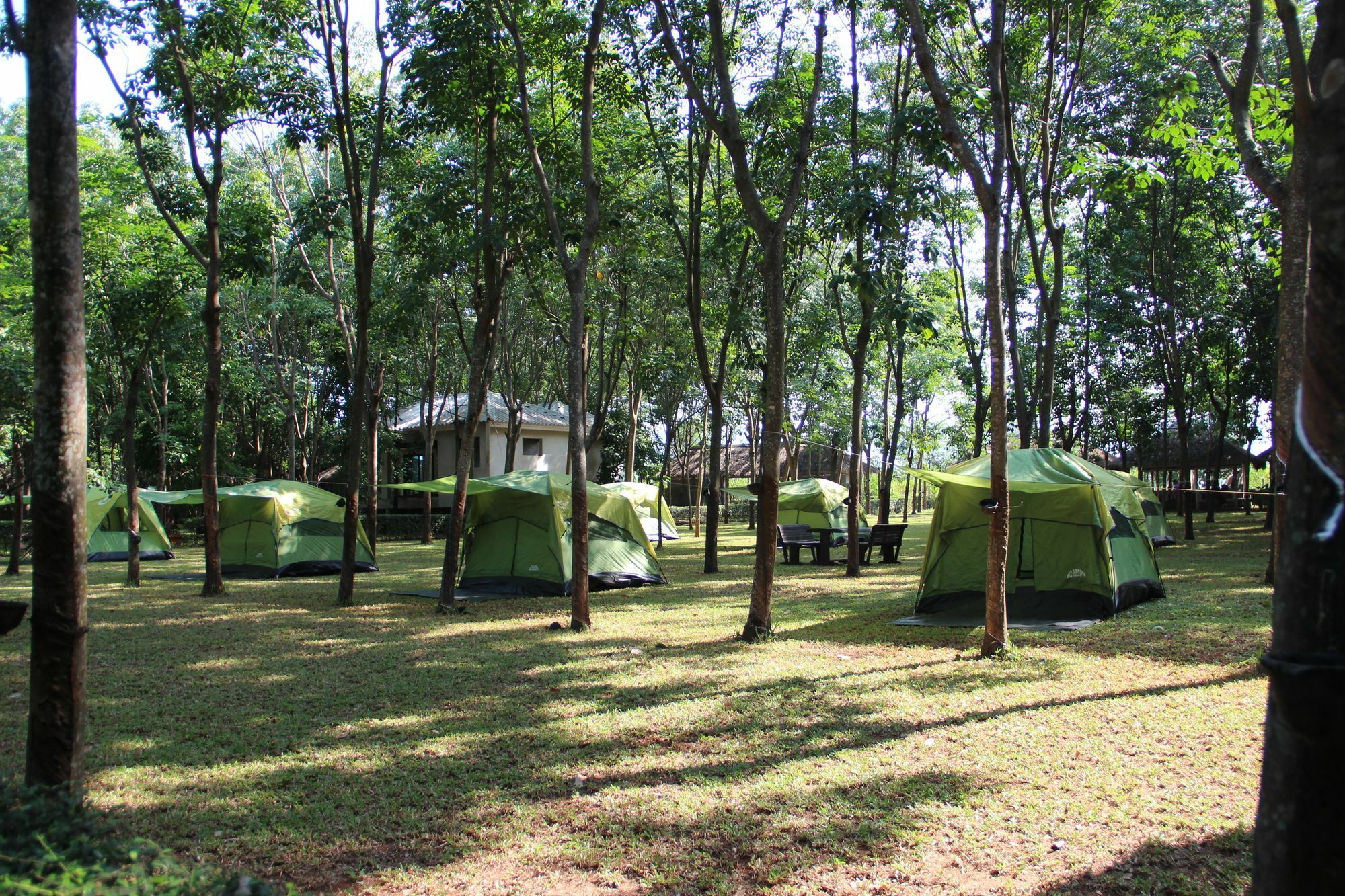 Singha Rubber Tree Hotel Sai Yok Buitenkant foto